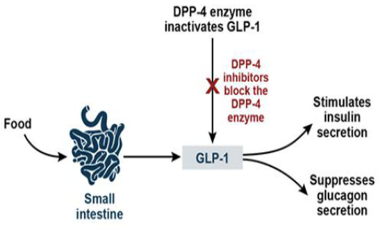 20230130/210d79a41c3e00be1536ae0c0eec1e69.png /tmp/phpf9Q3z6